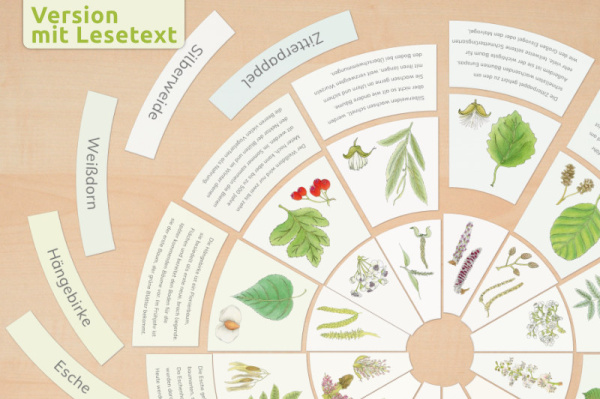 legekreis_laub_textversion4