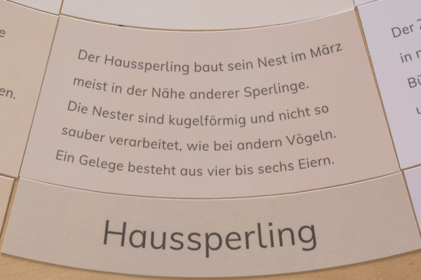 legekreis_voegel_druck3