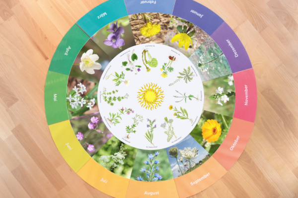 (Bilder, Blumen und Tierkreiszeichen - Deutsch - Download)