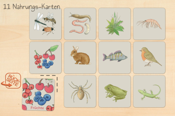legematerial_grundmerkmale_c