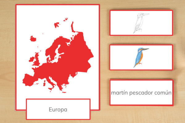 legematerial_tiere_europa_spanisch