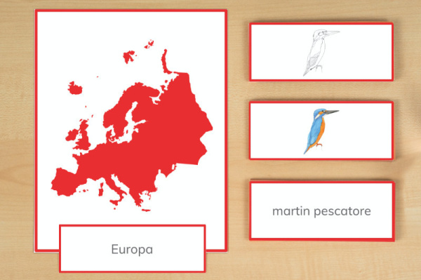 legematerial_tiere_europa_tail