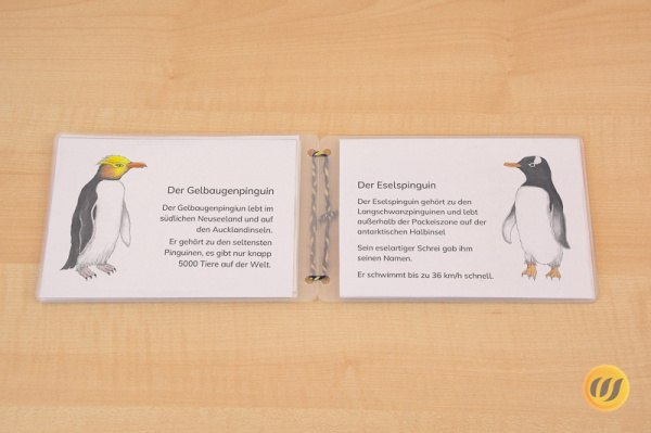 (Deutsch - Download)