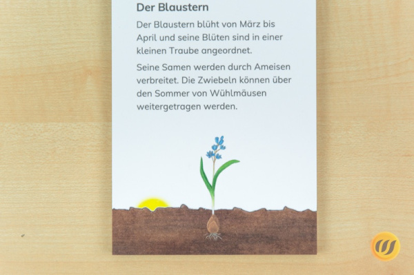 leseheft_fruehblueher_gebunden1
