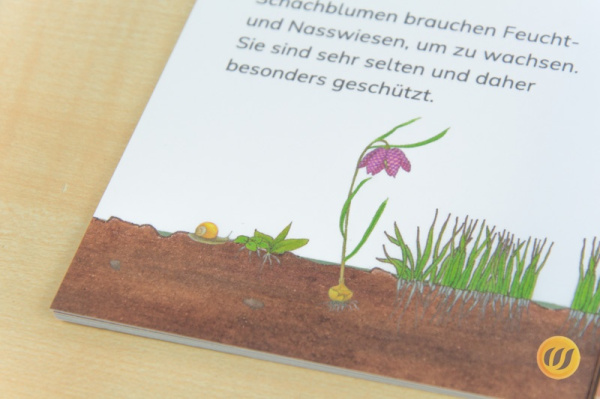 leseheft_fruehblueher_gebunden6