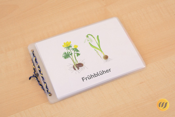 leseheft_fruehblueher_titel_deu