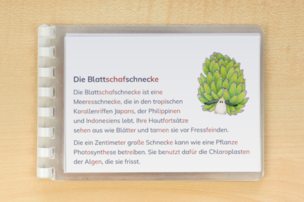 leseheft_korallenriff_silben_2
