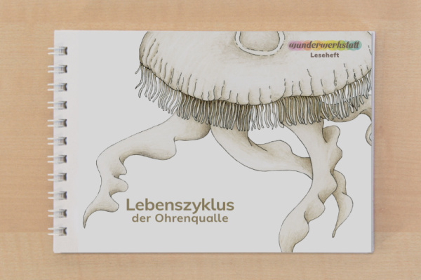 leseheft_leben_ohrenqualle_print_1