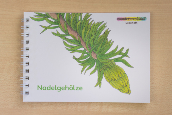 leseheft_nadel_titel_2023_1143865664