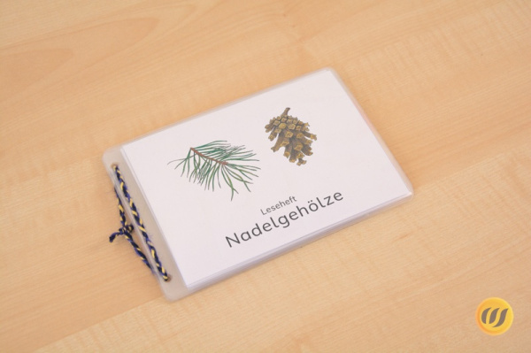 Download-Paket: Nadelgehölze