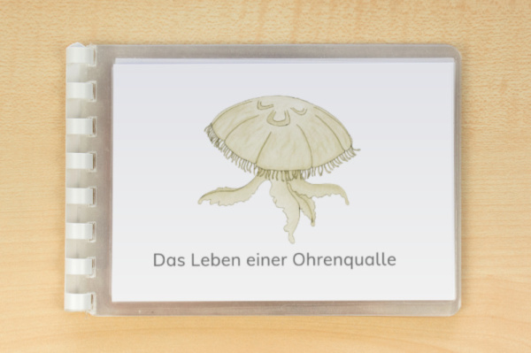 Download-Paket: Quallen