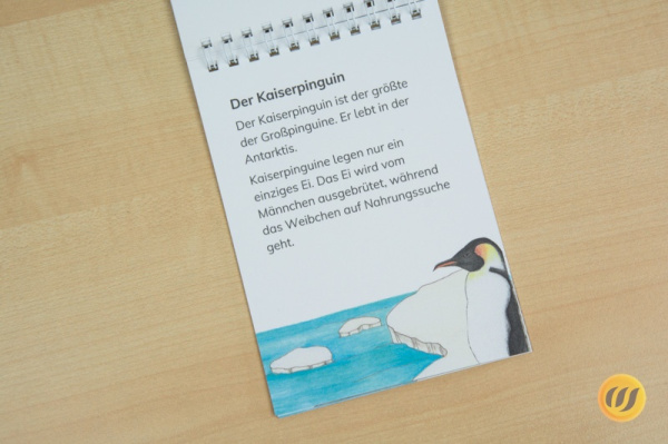 Leseheft-Paket Antarktis