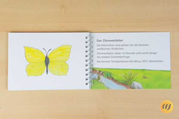 leseheft_schmetter_druck2