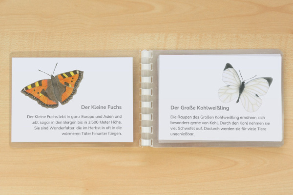 leseheft_schmetterlinge_download4
