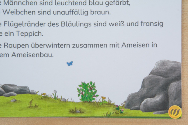 leseheft_schmetterlinge_druckerei5