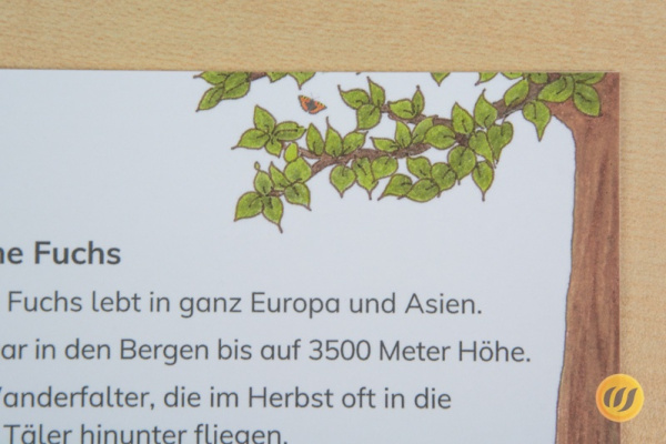 leseheft_schmetterlinge_druckerei7