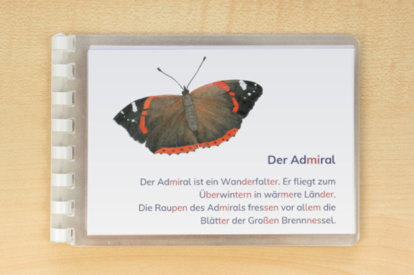 leseheft_schmetterlinge_silben2