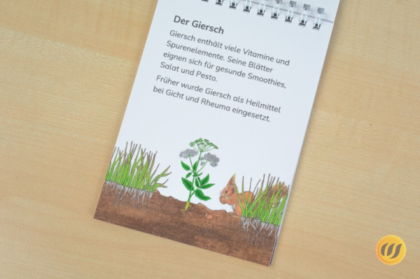 leseheft_wildkraeuter_druck1
