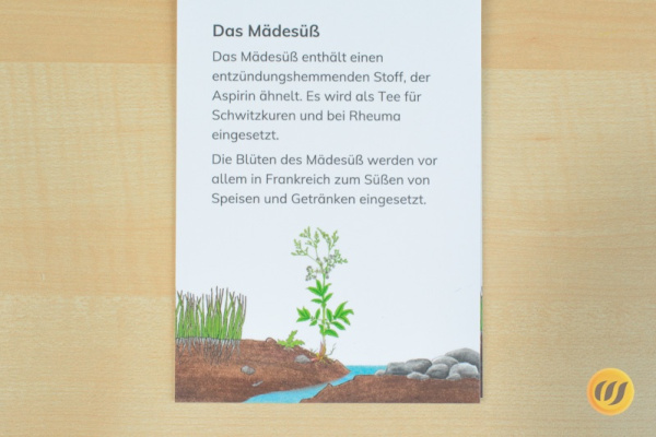leseheft_wildkraeuter_druck2