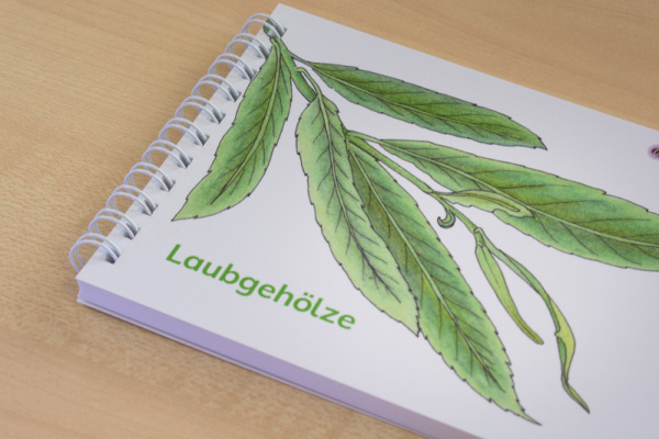 lh_laubgehoelze_seite