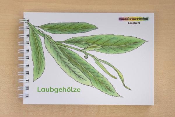 (Deutsch - Profidruck mit Spiralbindung)