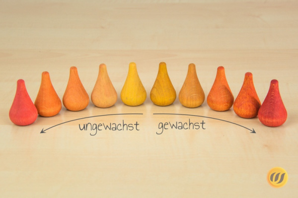 lp_zwiebel_verlgeich2