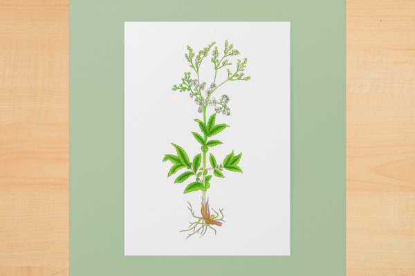 Digitaler Kunstdruck A6