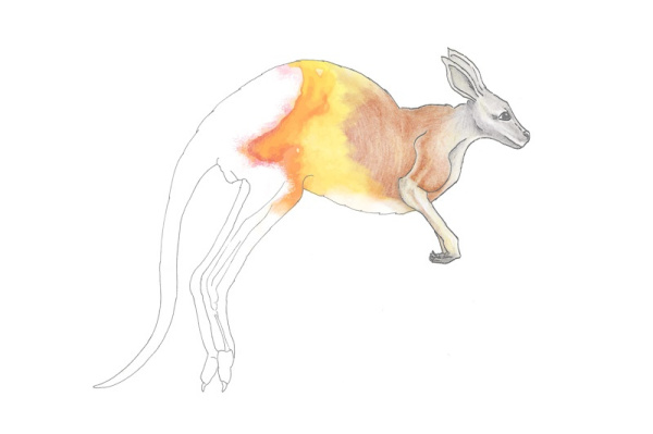 malheft_australien