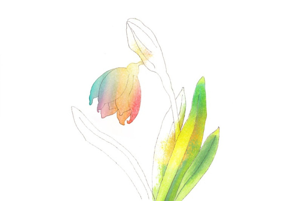 malheft_fruehblueher
