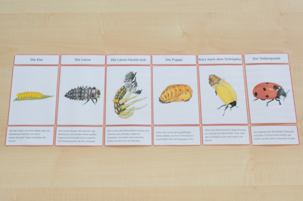 (Deutsch - roter Rahmen - Download)