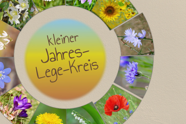 minikreis_blumen_1