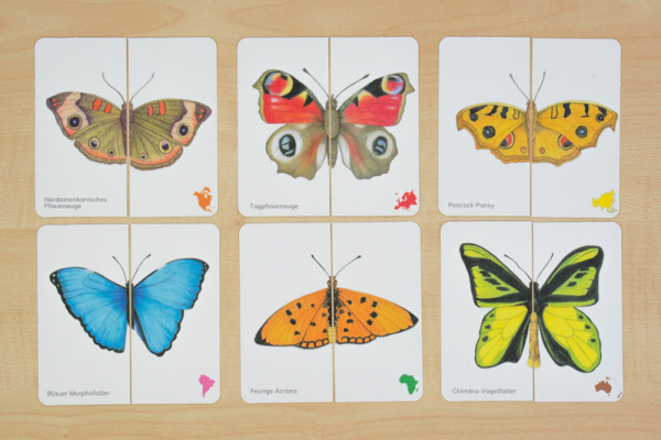 minipuzzle_schmetterlinge_der_erde2