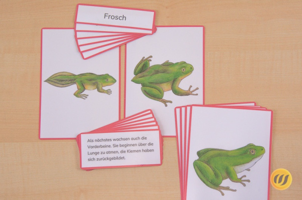 (Deutsch - mit Rahmen - Download)