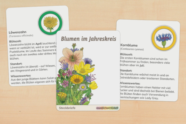 Themenkiste Jahresuhr