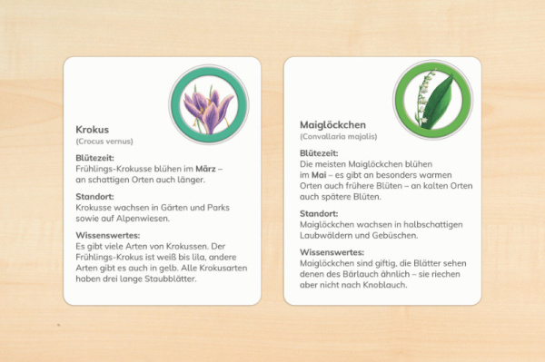 monatsblumen_druckversion_2