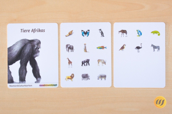 nomen_afrika_druck5