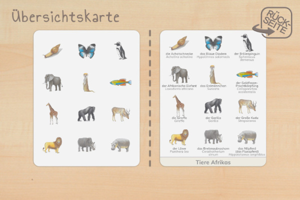 nomen_afrika_druck_b