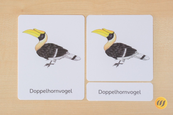 nomen_asien_druck4