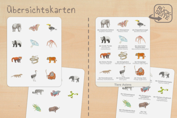 nomen_asien_druck_b