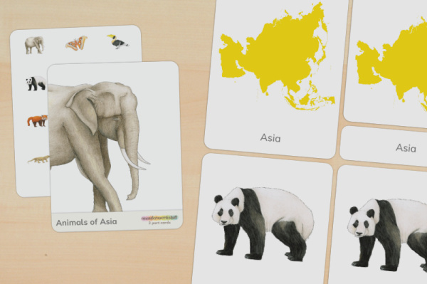 nomen_asien_tiere_englisch_titel_1