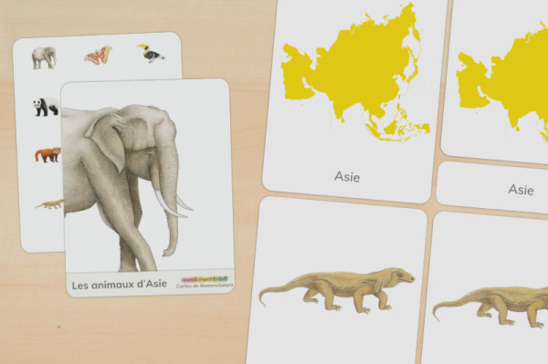 nomen_asien_tiere_franzoesisch_titel_1