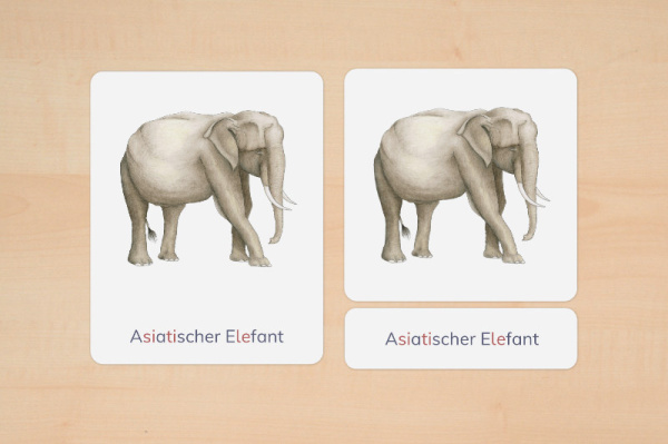 nomen_asien_tiere_silben_2
