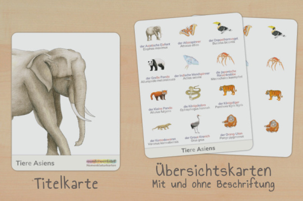 nomen_asien_tiere_silben_titel_2