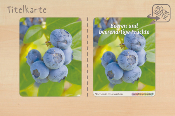 (Deutsch - Profidruck)
