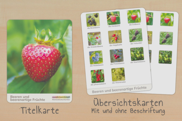 nomen_beeren_ue_1