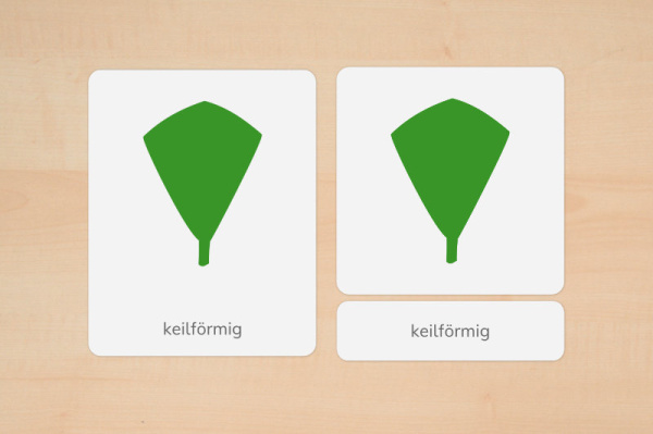 nomen_blattformen_download_3