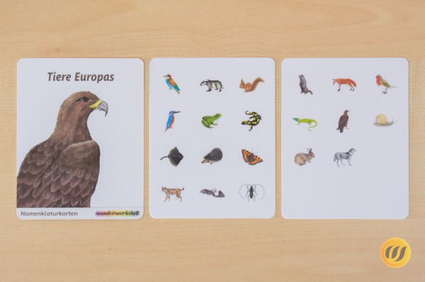 nomen_europa_druck