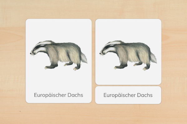 nomen_europa_druck_e