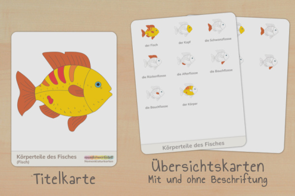 nomen_fisch_down_titel_2