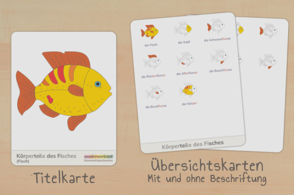 nomen_fisch_silben_titel_2